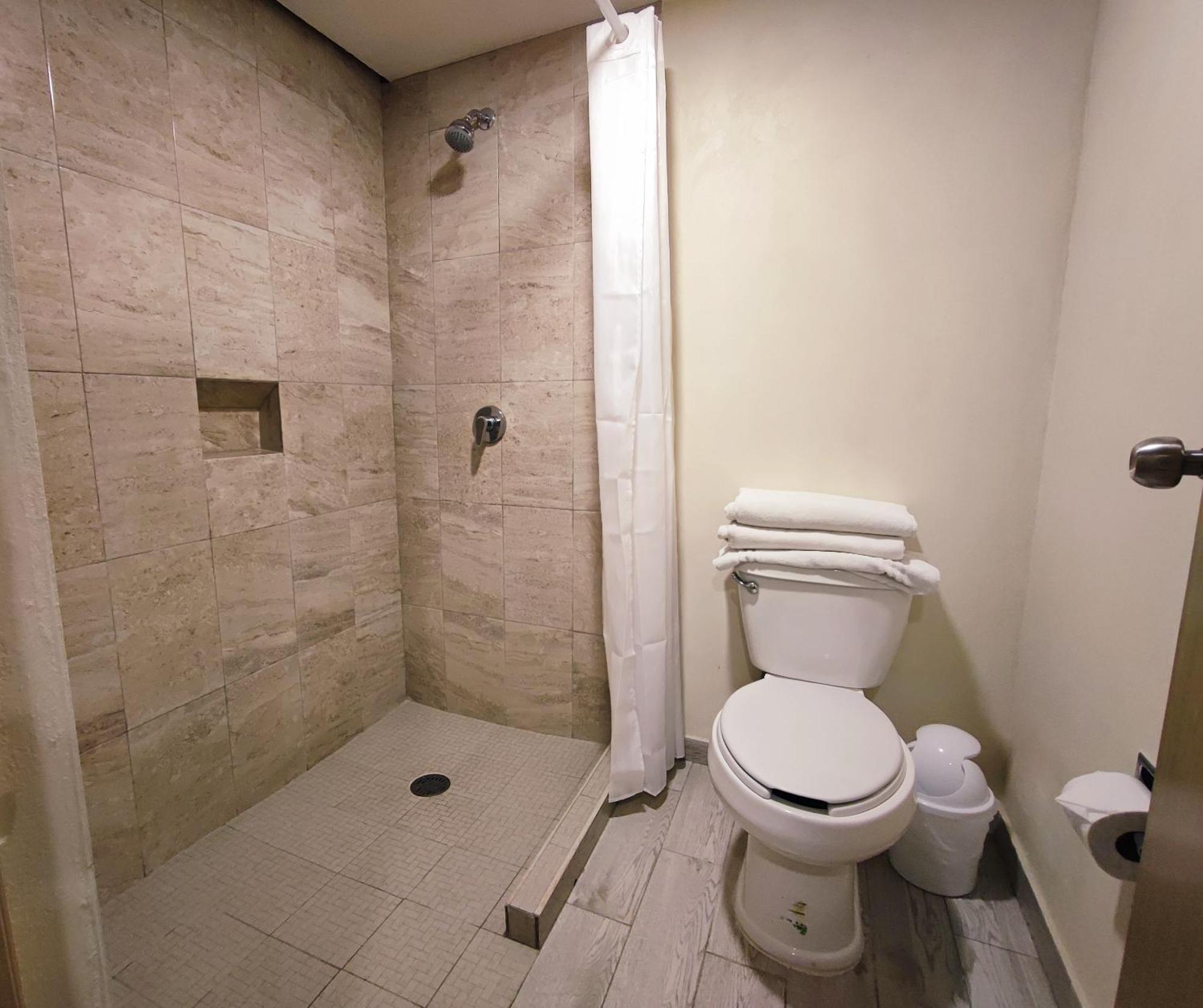 Hotel Plaza Morelos 托卢卡 外观 照片